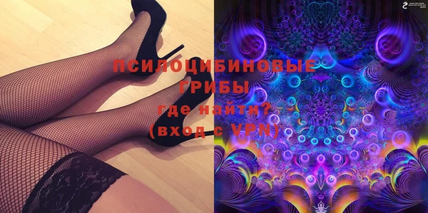соль ск Балахна