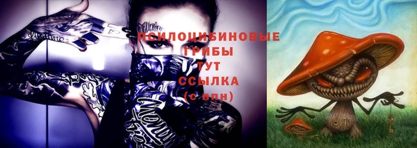 не бодяженный Россошь